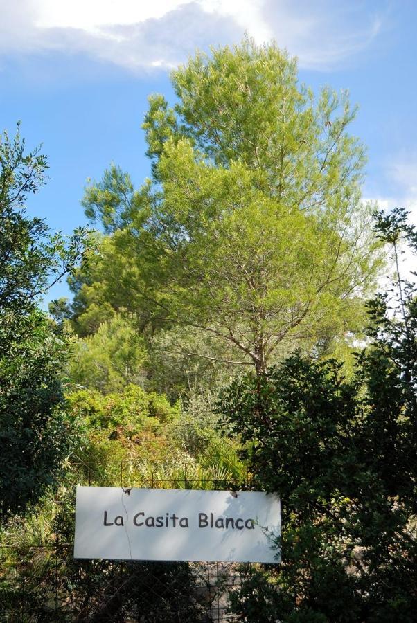 La Casita Blanca,